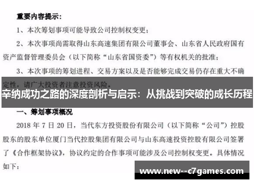 辛纳成功之路的深度剖析与启示：从挑战到突破的成长历程